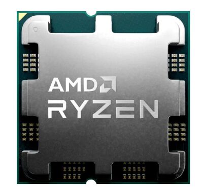  RYZEN X12 7900 SAM5 OEM 65W 3700 100-000000590 AMD