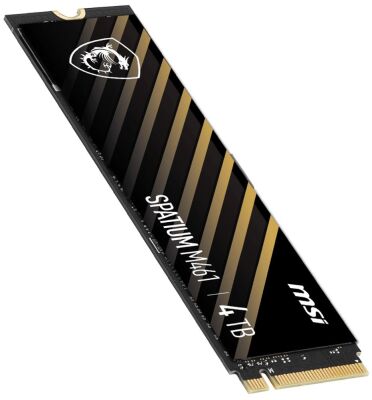 SSD   PCIE 4.0 NVME M.2 4TB SPATIUM M461 4TB MSI